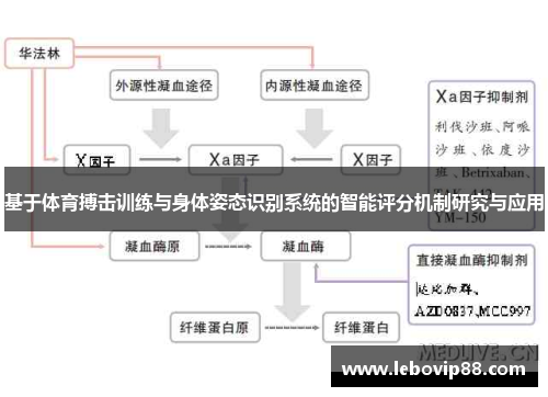 基于体育搏击训练与身体姿态识别系统的智能评分机制研究与应用