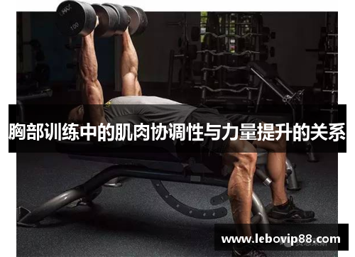 胸部训练中的肌肉协调性与力量提升的关系